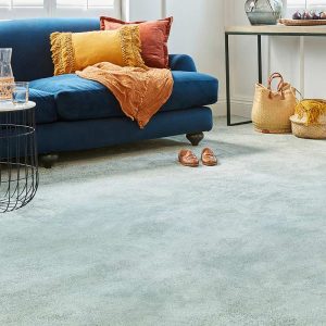 Stainfree - Sophisticat